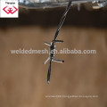 Galvanized Barbed wire, high security fence Barbed Wire